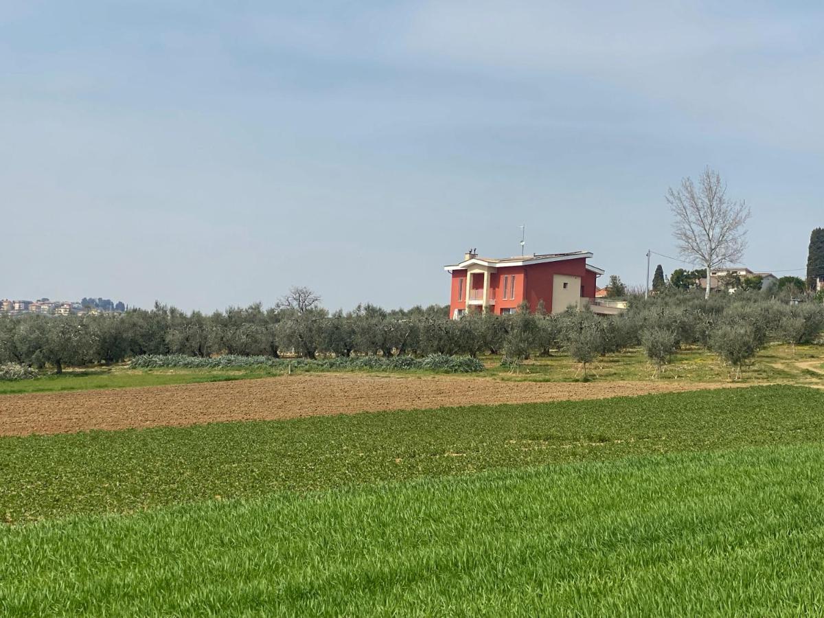 Olea B&B Montecosaro  Eksteriør bilde