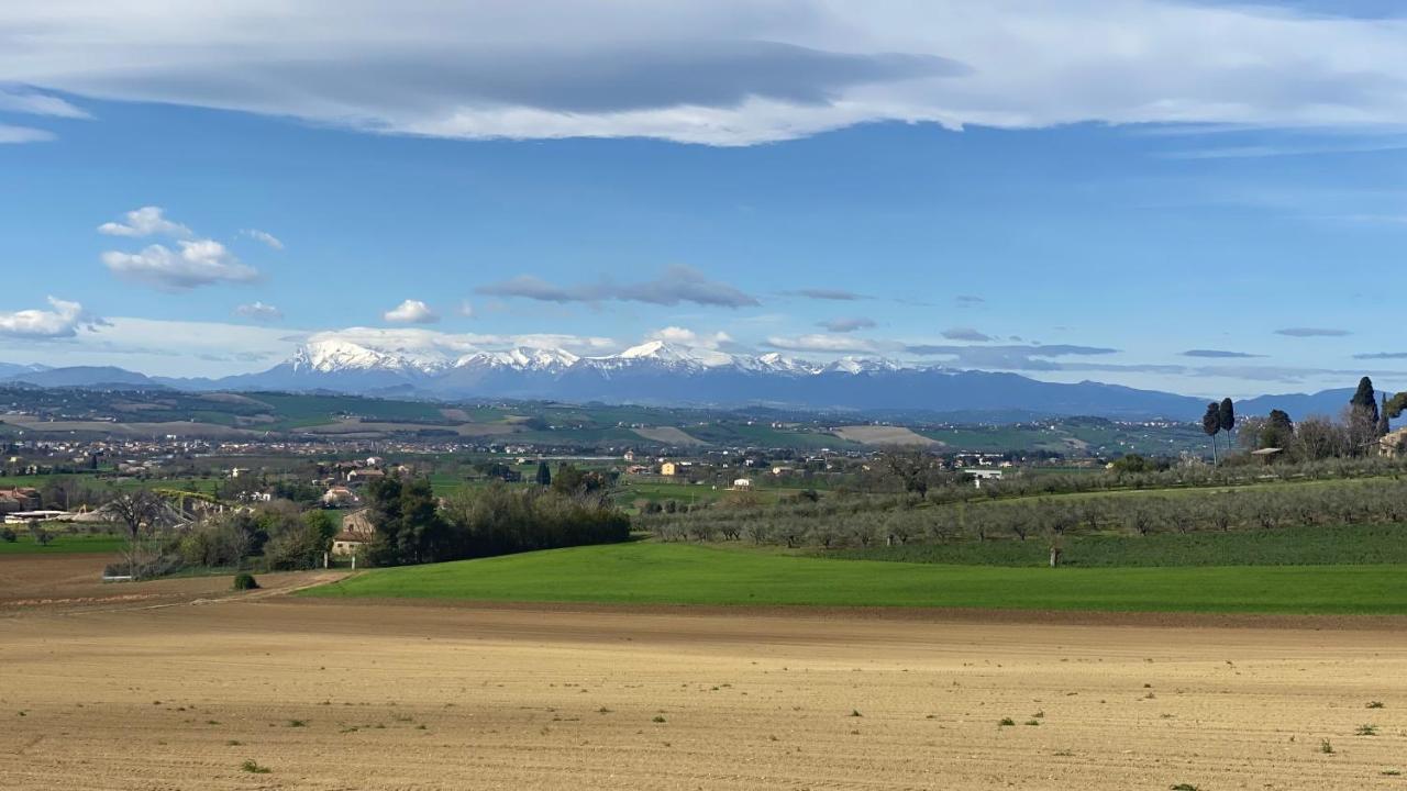 Olea B&B Montecosaro  Eksteriør bilde