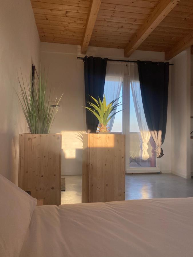 Olea B&B Montecosaro  Eksteriør bilde