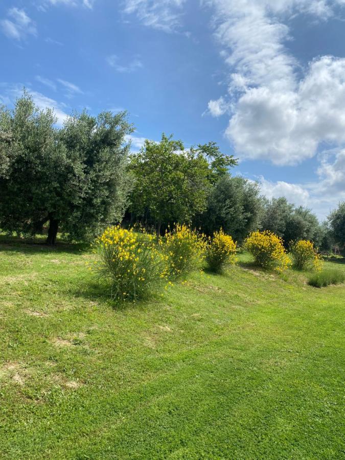 Olea B&B Montecosaro  Eksteriør bilde